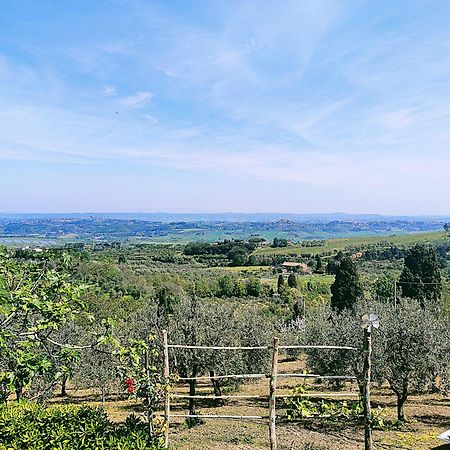 La Casina Di Colle - Appartamento Rustico Sulle Colline Di Pisa Casciana Terme Eksteriør bilde